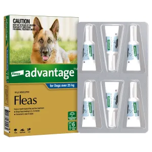 Advantage Flea Treatment for Dogs 25kg  Blue 6 Pack