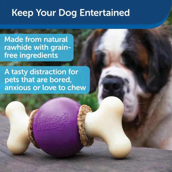 Busy Buddy Bouncy Bone