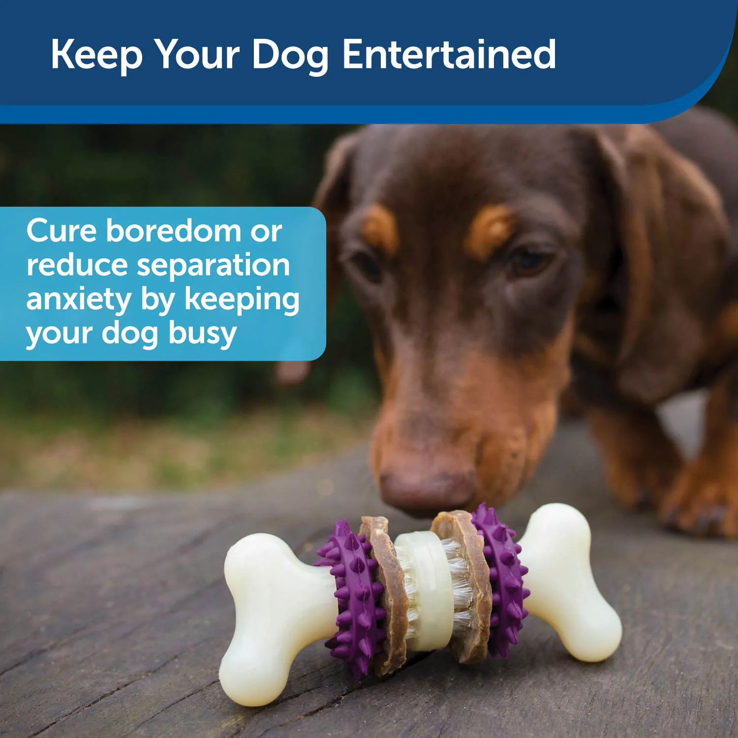 Busy Buddy® Bristle Bone®