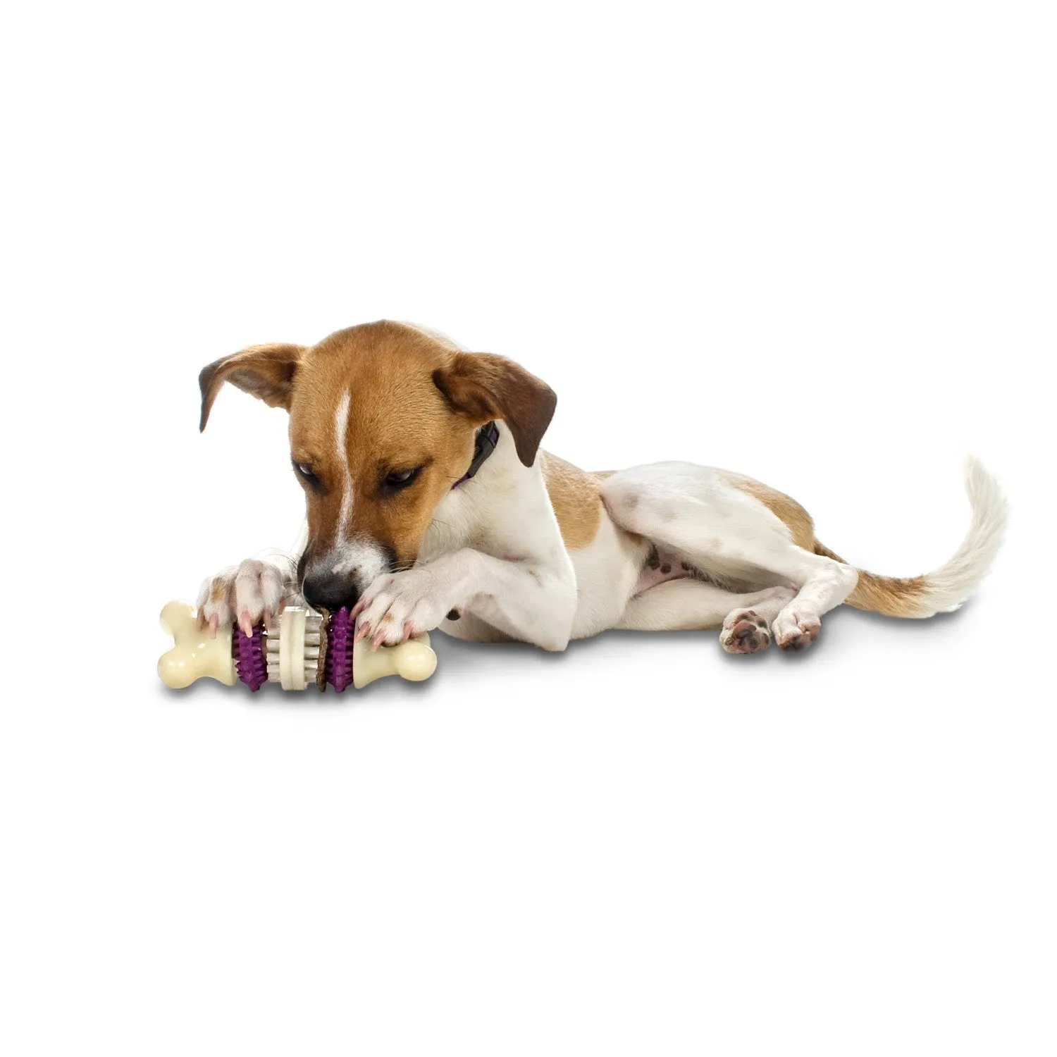 Busy Buddy® Bristle Bone®