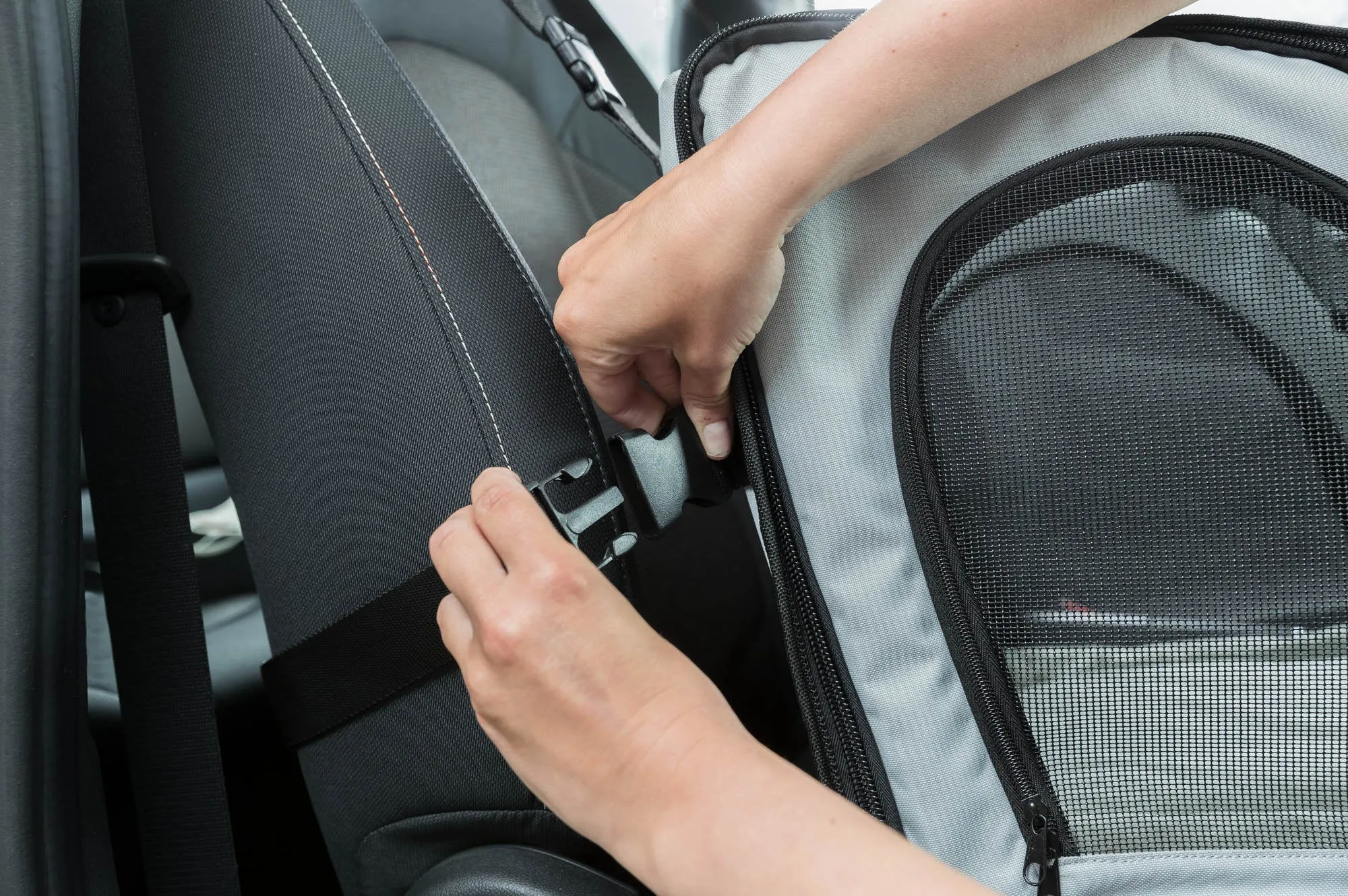 Car Seat & Carrier