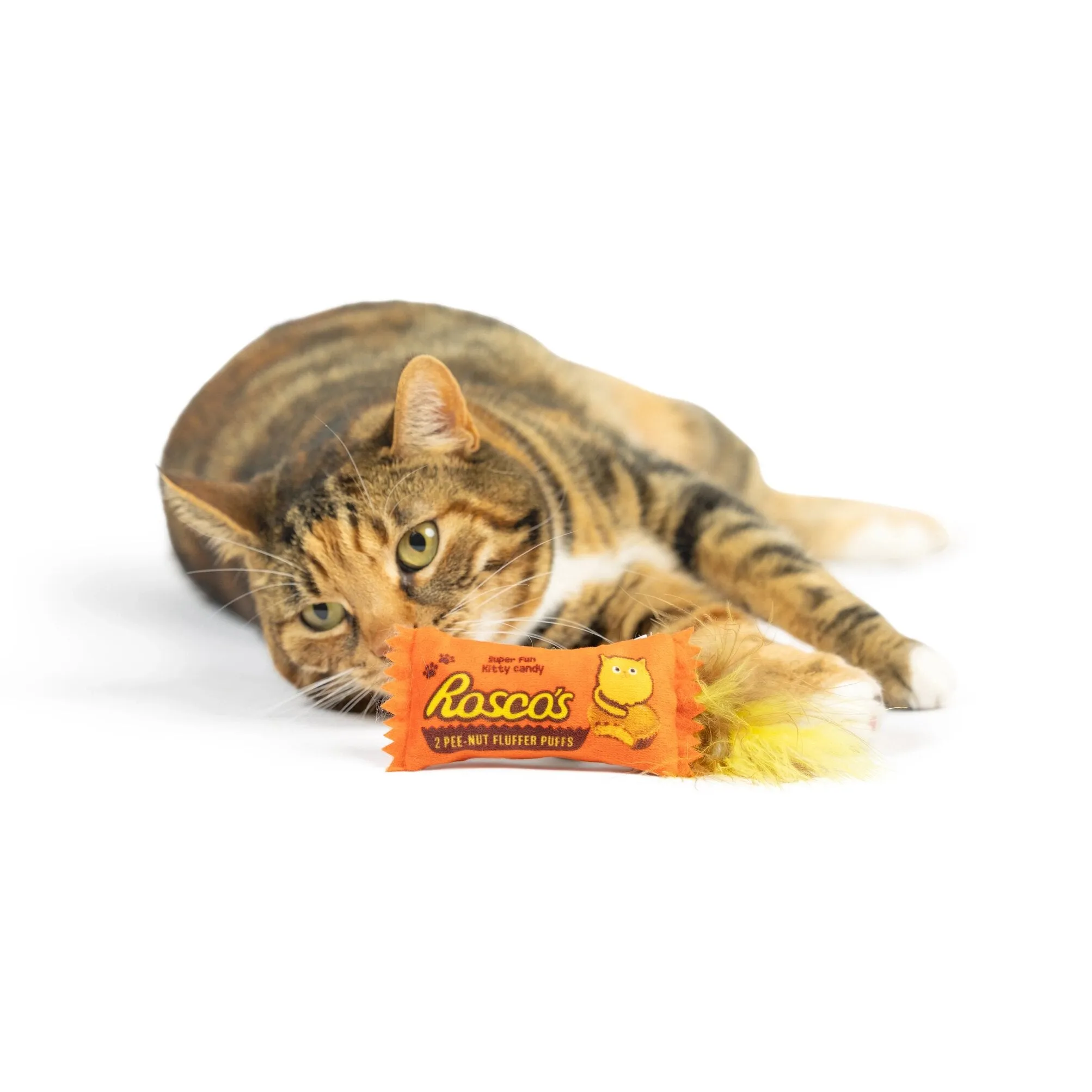 Cat Toy - Roscos Fluffer Puffs