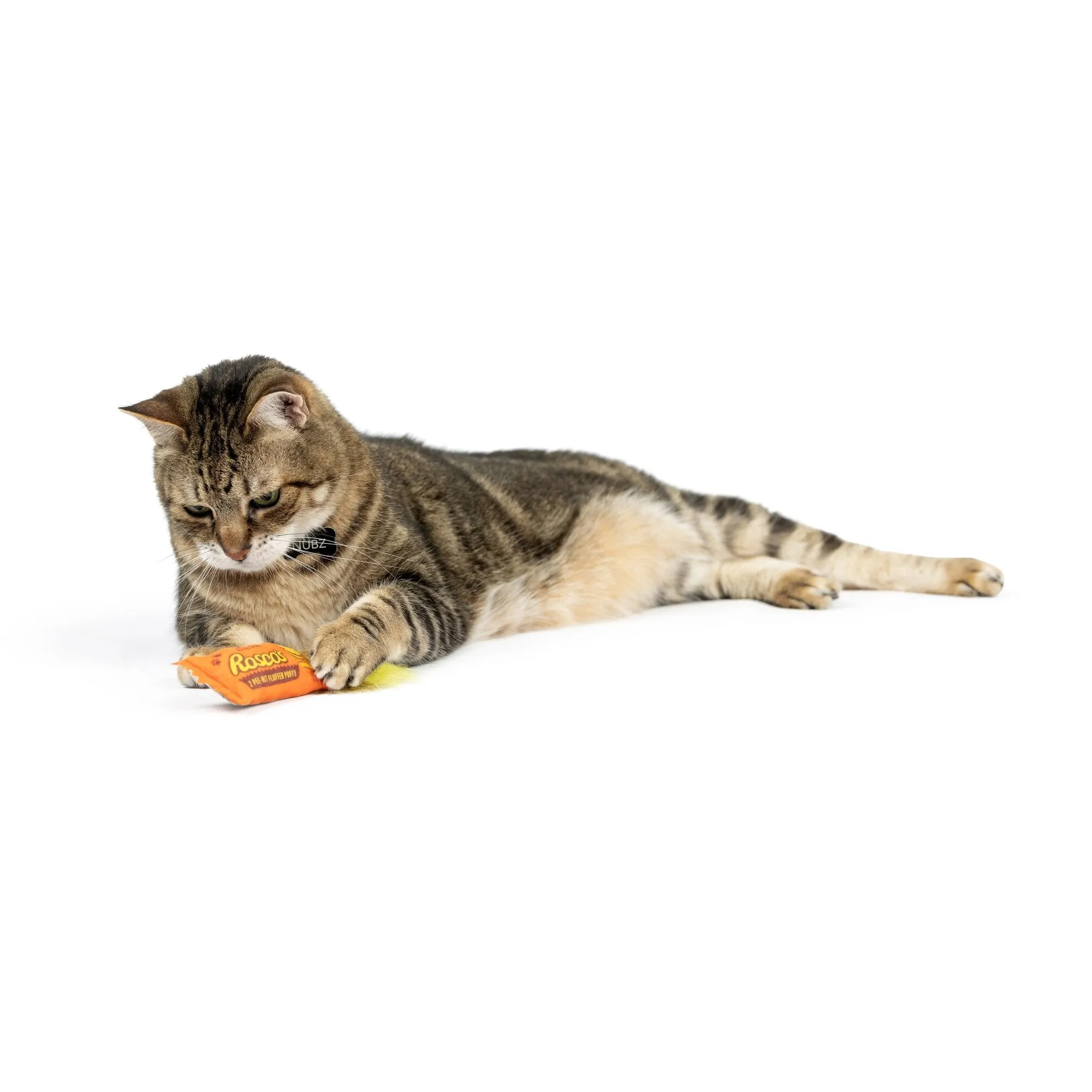 Cat Toy - Roscos Fluffer Puffs