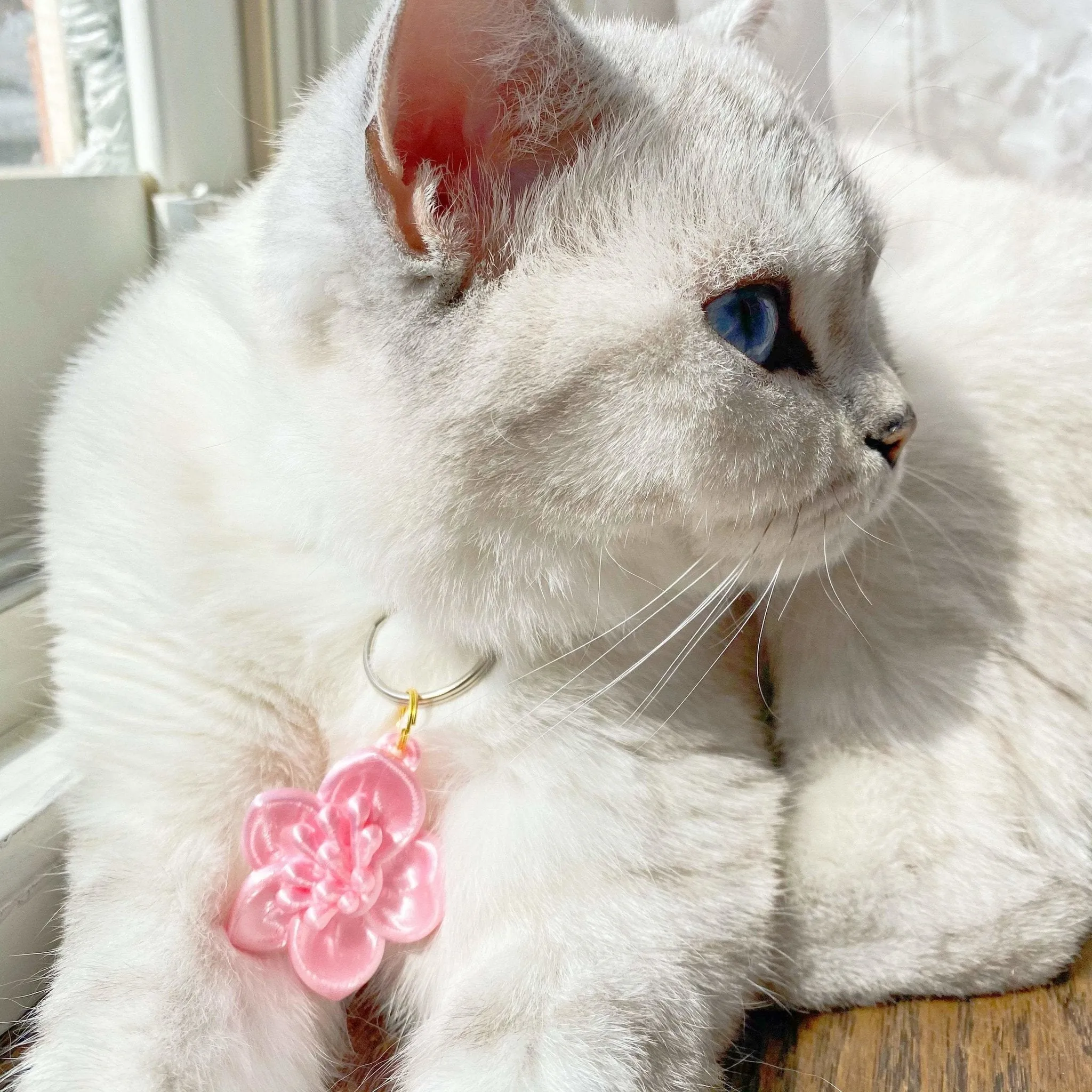 Cherry Blossom Pet Tag