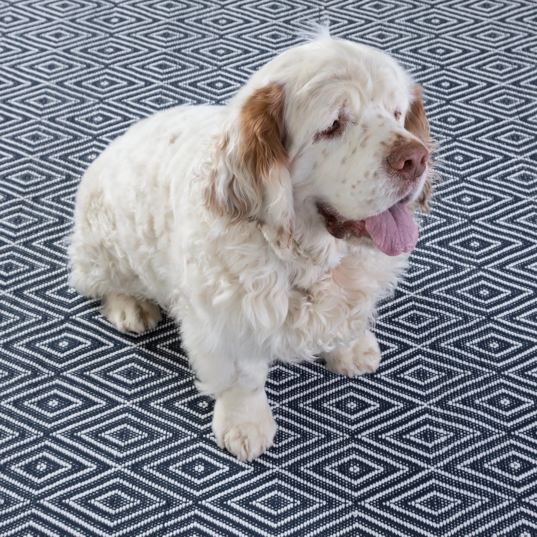 Diamond Navy/Ivory Handwoven Indoor/Outdoor Rug