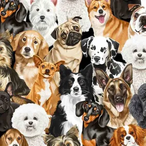 Dog Breeds