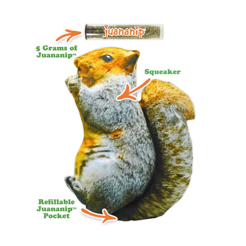 Doggijuana Refillable Squirrel Squeaky Toy with Juananip