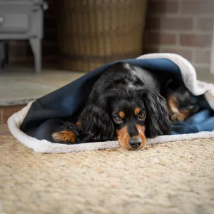 Essentials Twill Blanket in Denim by Lords & Labradors