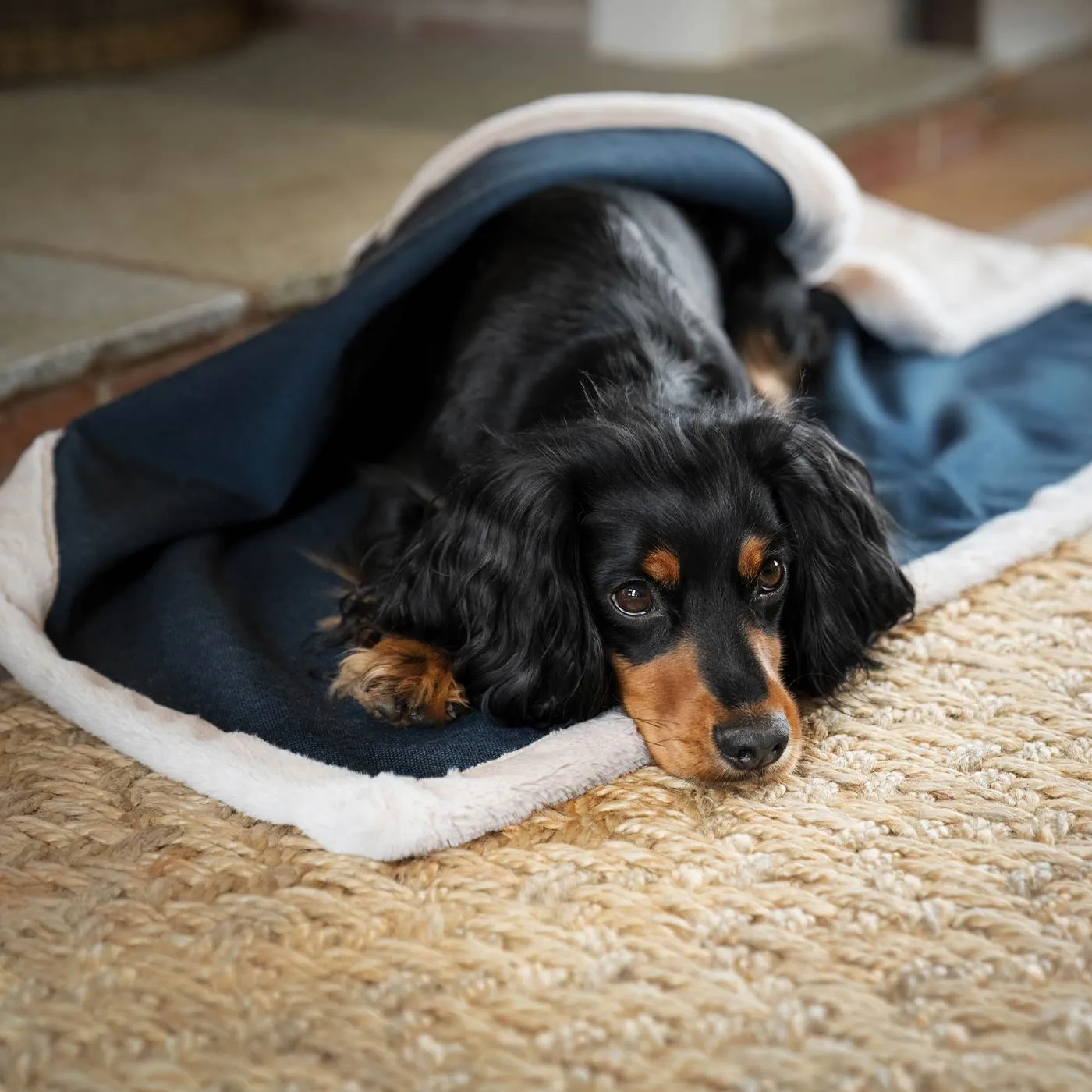 Essentials Twill Blanket in Denim by Lords & Labradors