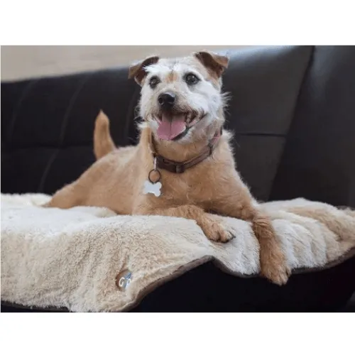 Gor Pets Nordic Double Sided Pet Blanket