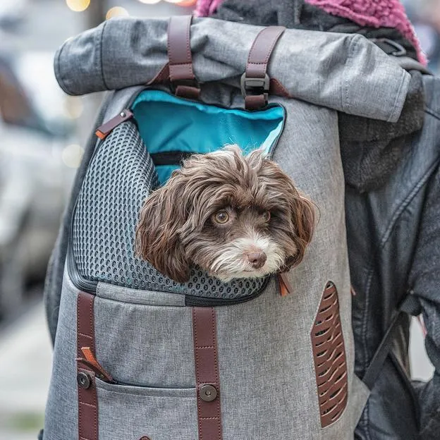 K9 Rucksack