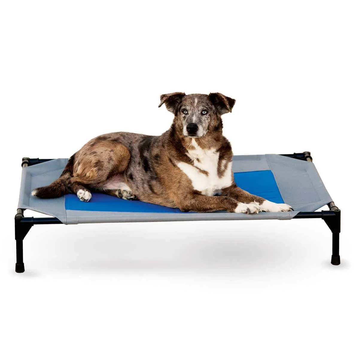 K&H Pet Products Coolin' Pet Cot - 150 lb. capacity