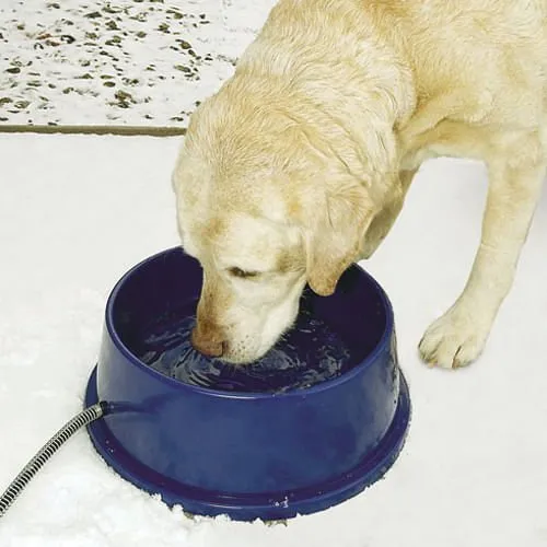 K&H Thermal-Bowl Heated Water Bowl