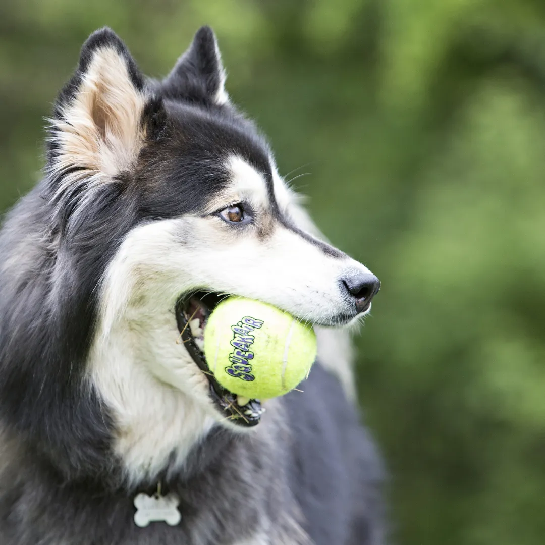 Kong Air Tennis Ball XL