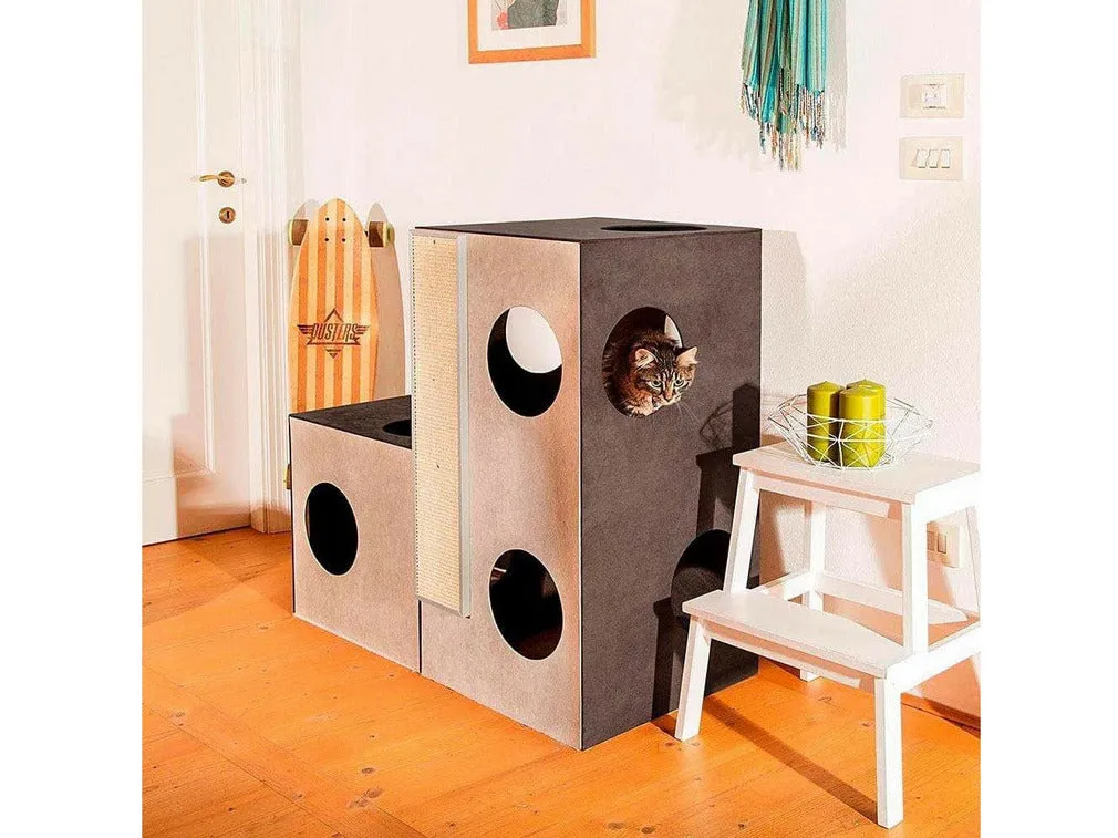 Kubo 1 Cat Jump
