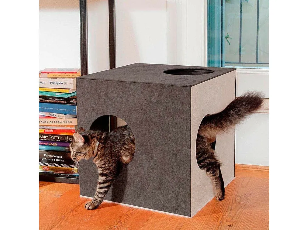 Kubo 1 Cat Jump