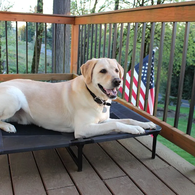 Lucky Dog Comfort Cot
