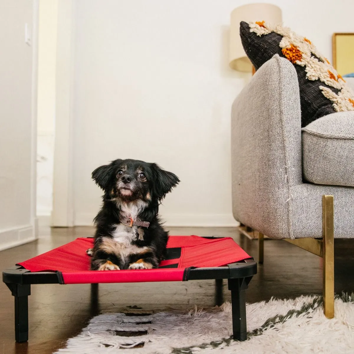 Lucky Dog Comfort Cot