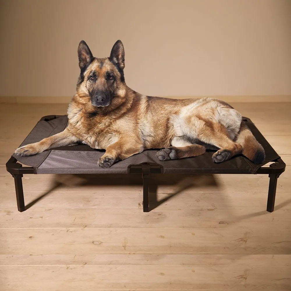 Lucky Dog Comfort Cot