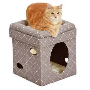 Midwest Curious Cat Cube  Mushroom