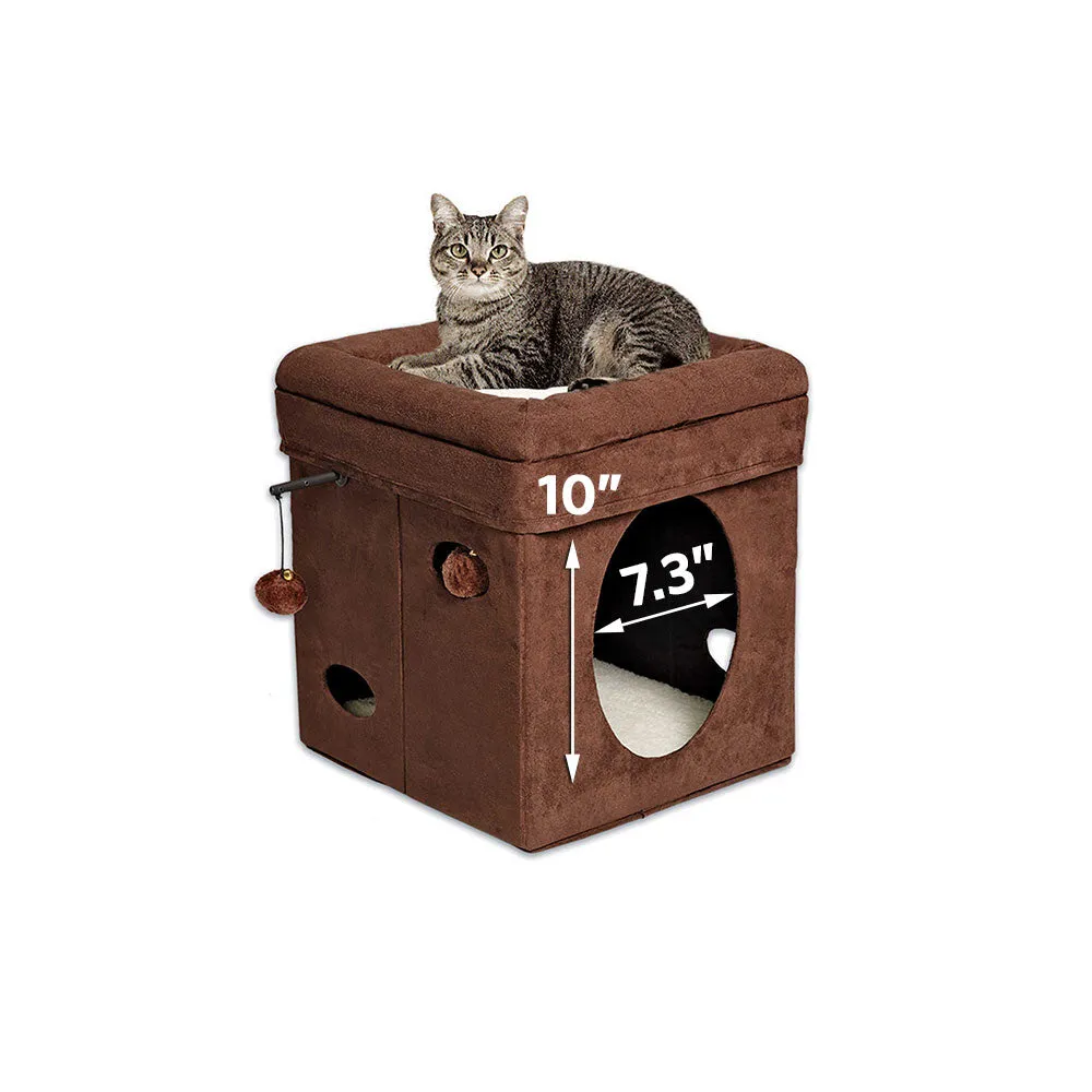 Midwest Curious Cat Cube