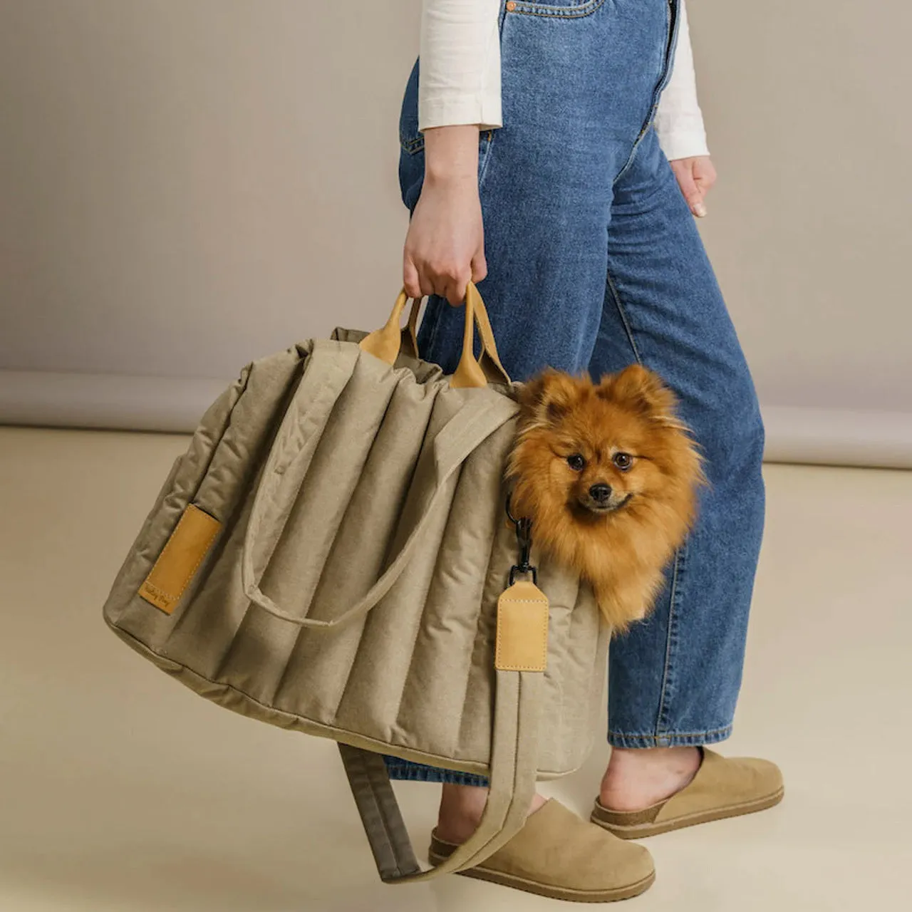 Pet Carrier
