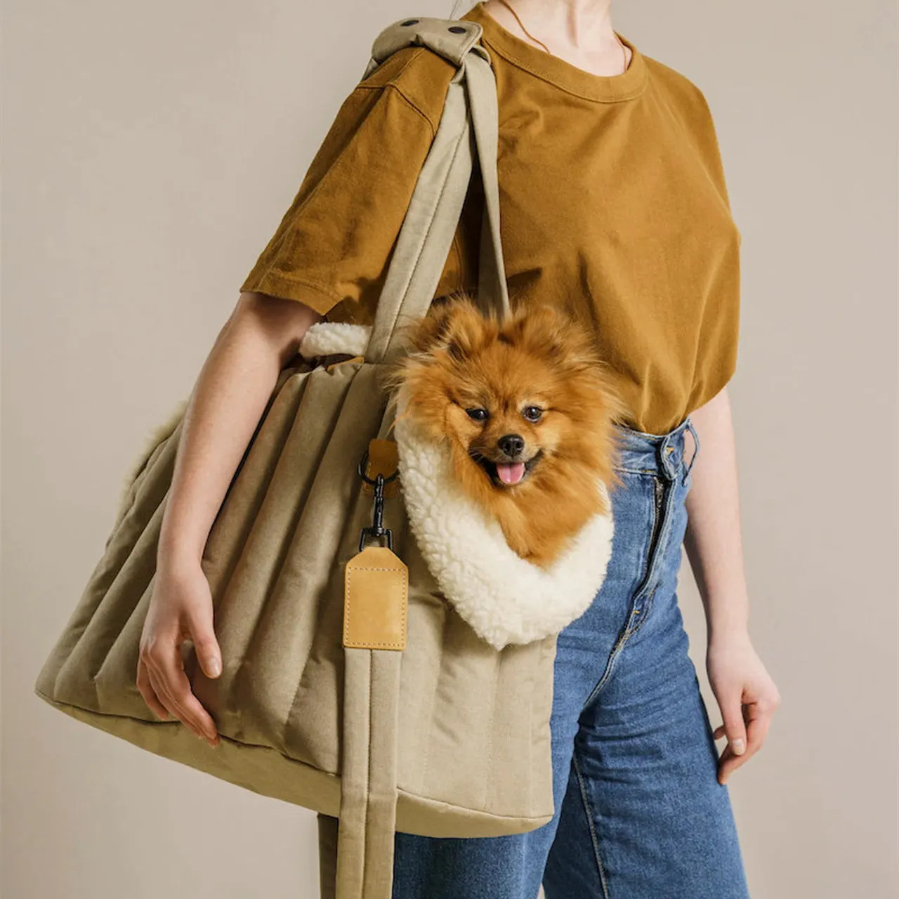 Pet Carrier