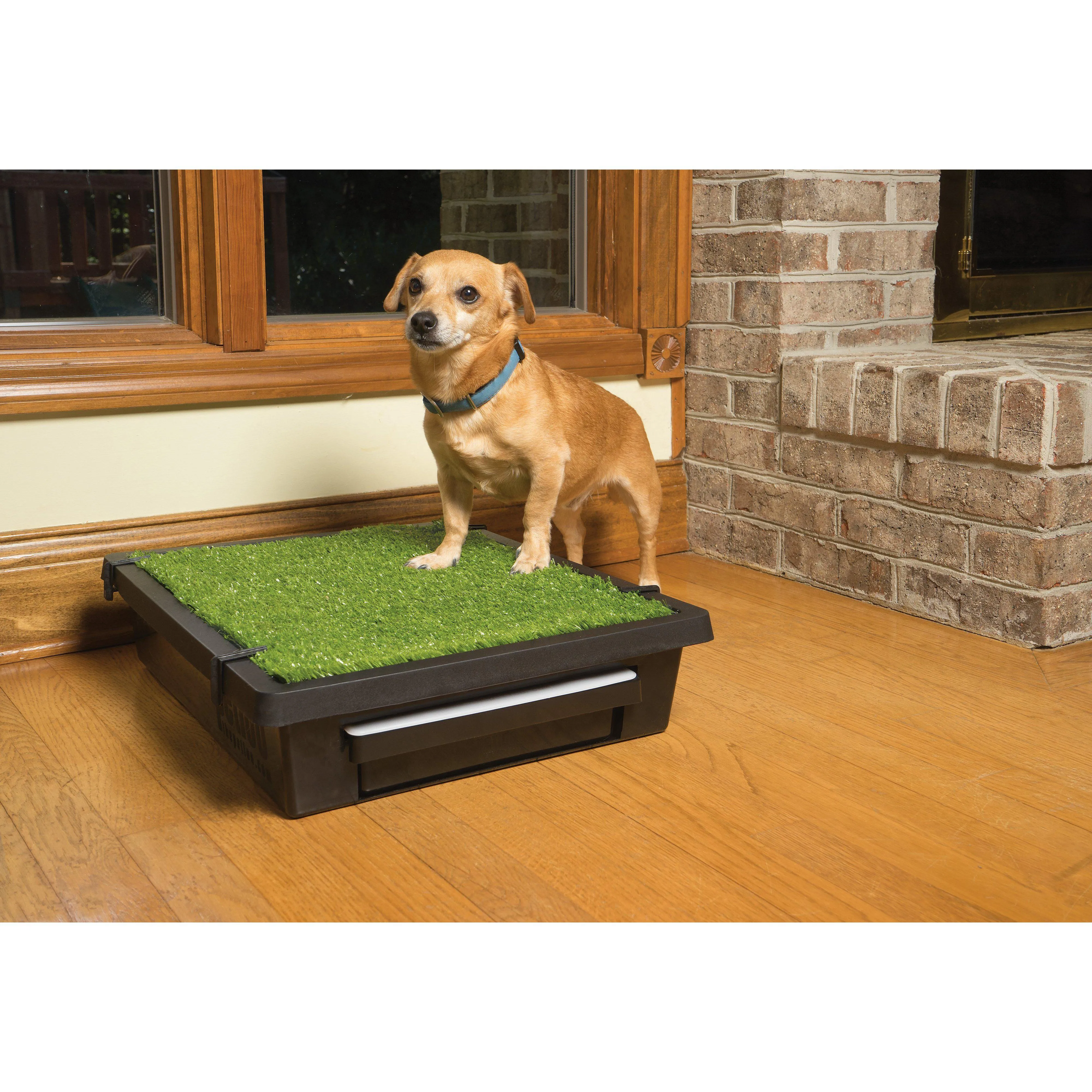 PetSafe The Pet Loo Small Portable Toilet for Dogs^^^