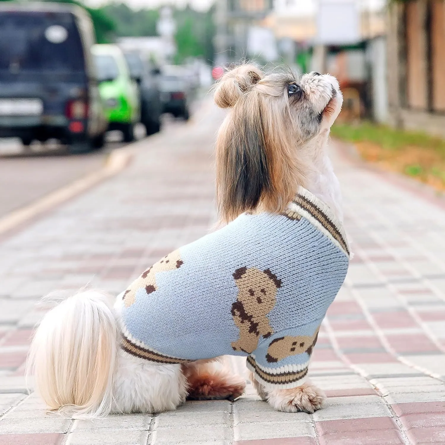 Small Sweaters Cute Bear Cardigans for Small Medium Dogs Boy Girl Puppy Cat Knitting Outfits Winter Coats Warm Pet Clothes Soft Knitwear Apparel (Blue,S)