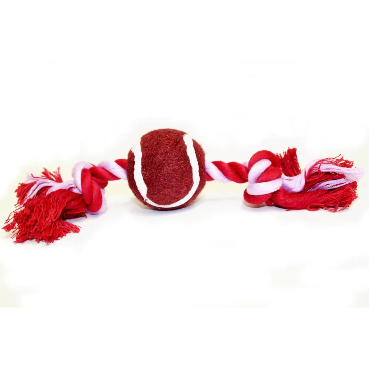 Super Squeaky Bone Dog Toy