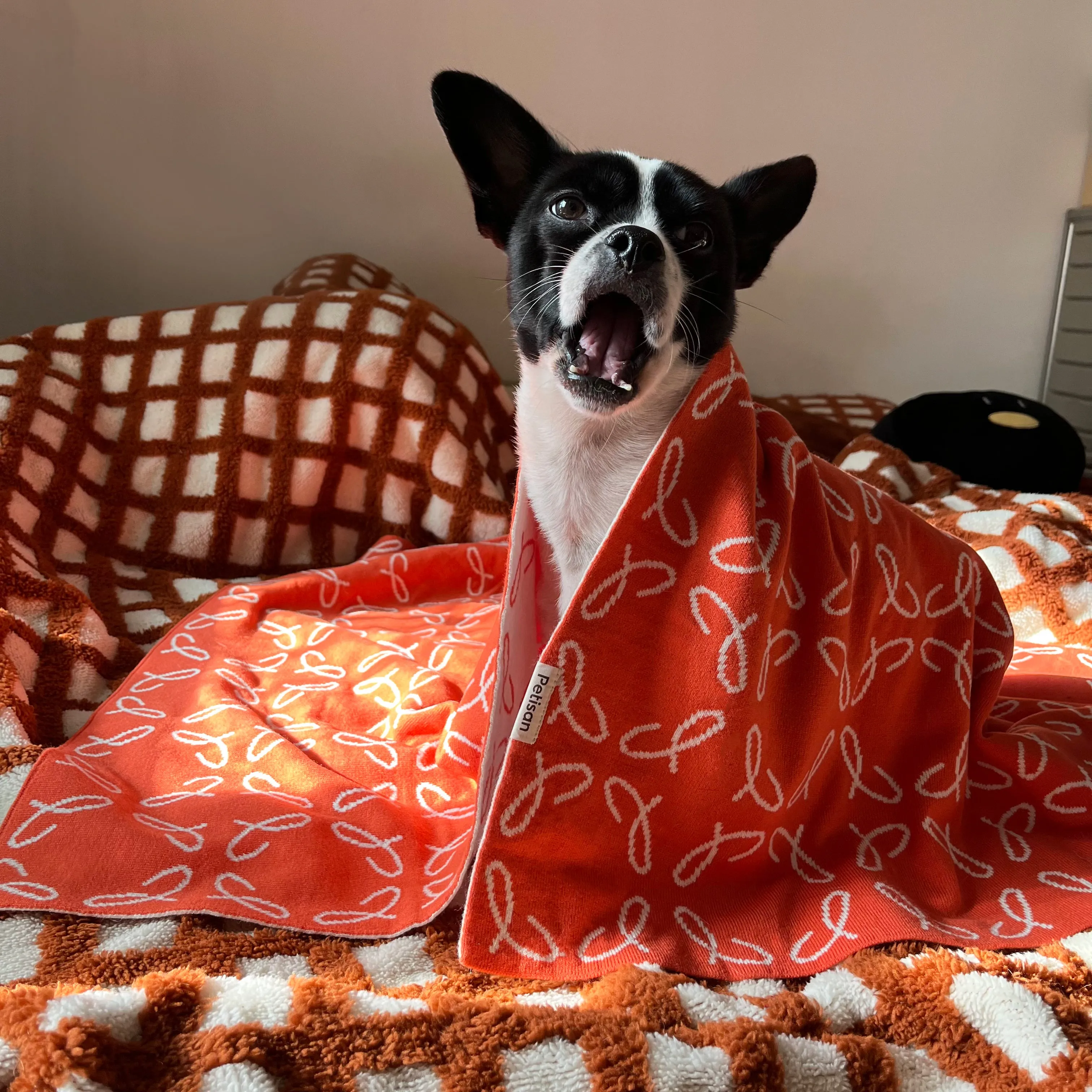 The Blanket