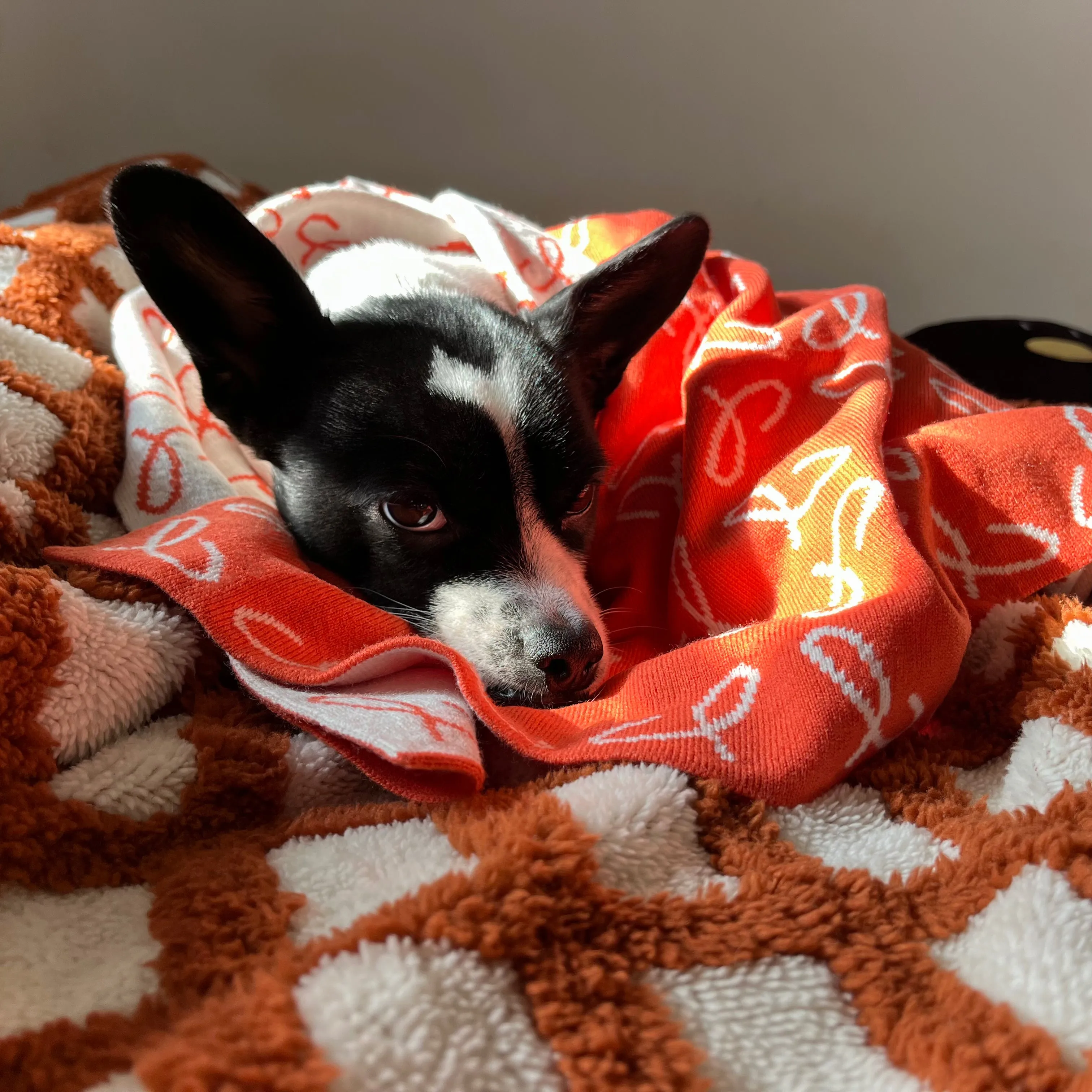 The Blanket