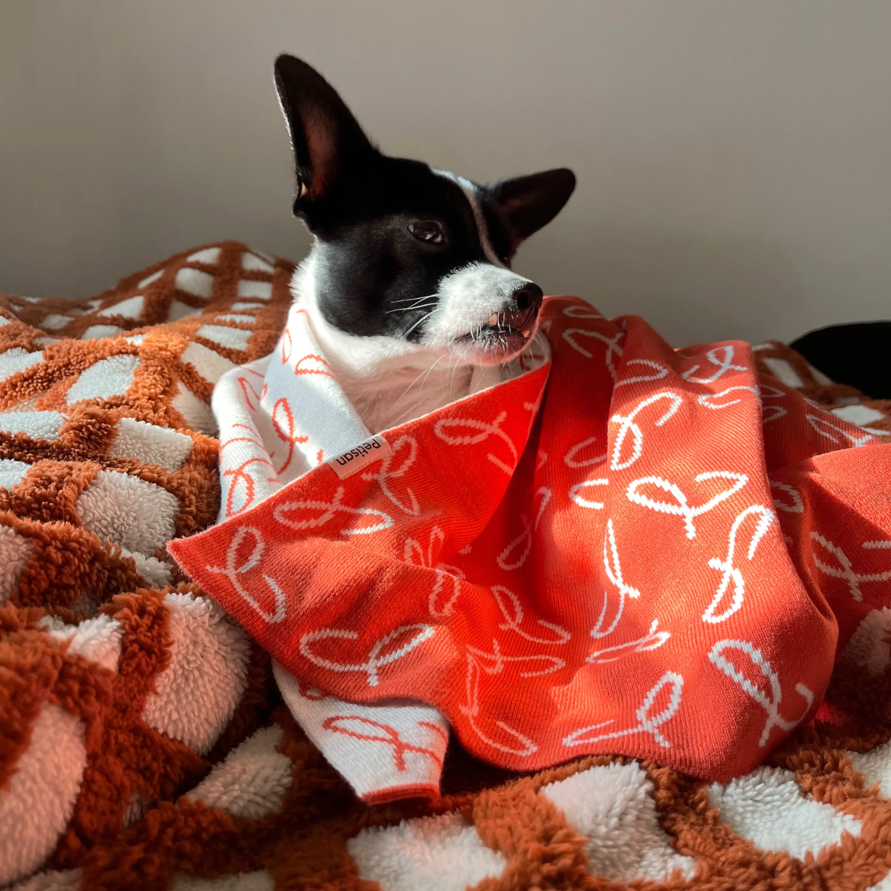 The Blanket